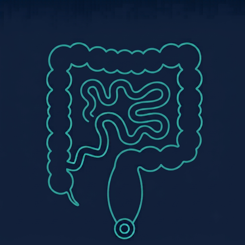 The inflammatory bowel disease gastrointestinal tract — jejunum, ileum, and terminal ileum of the small bowel; the appendix and cecum; and the colon from the right colon through the transverse and left colon to the sigmoid colon, rectum, and anus